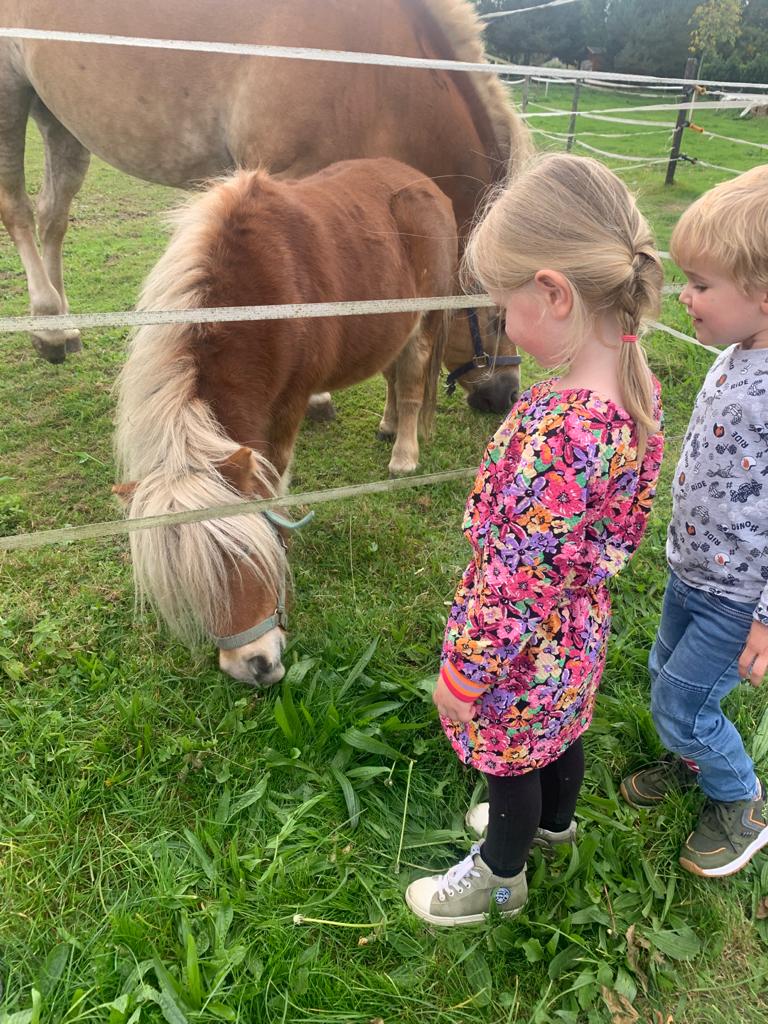 Kinderdagverblijf pony kijken