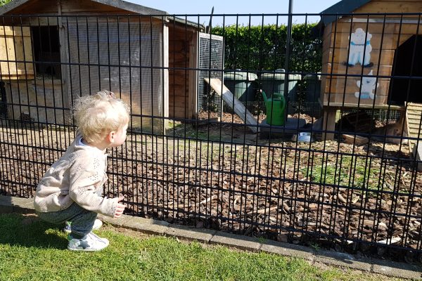 Kinderdagverblijf dierenverblijfplaats