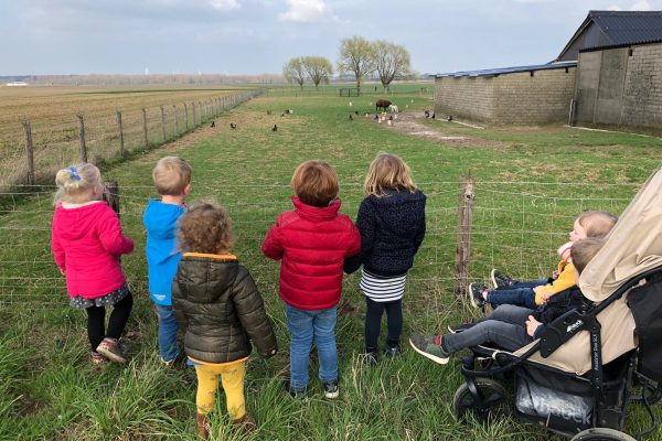 Kinderdagverblijf samen naar de dieren kijken