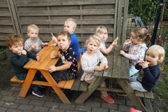 activiteiten-10040000