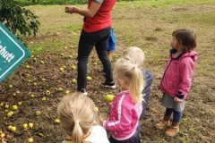 activiteiten-10050000
