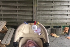 activiteiten-10130000